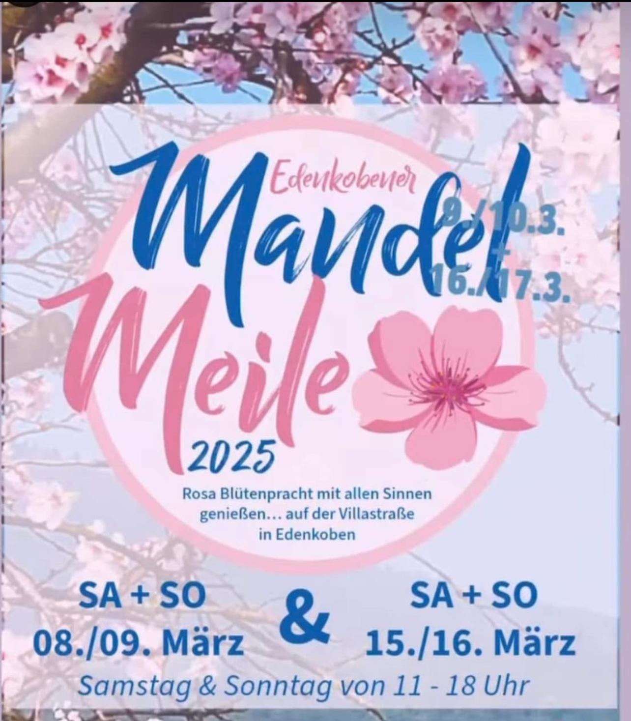 Hotel Zum Goldenen Ochsen Maikammer Eksteriør billede